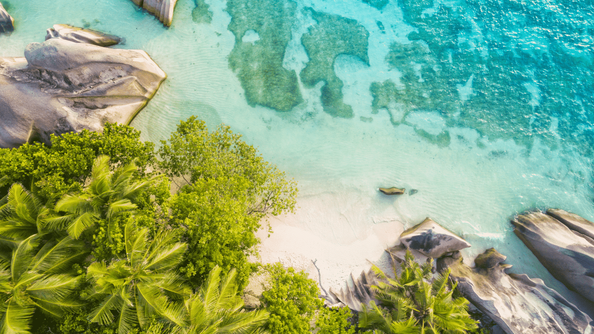 South Pacific