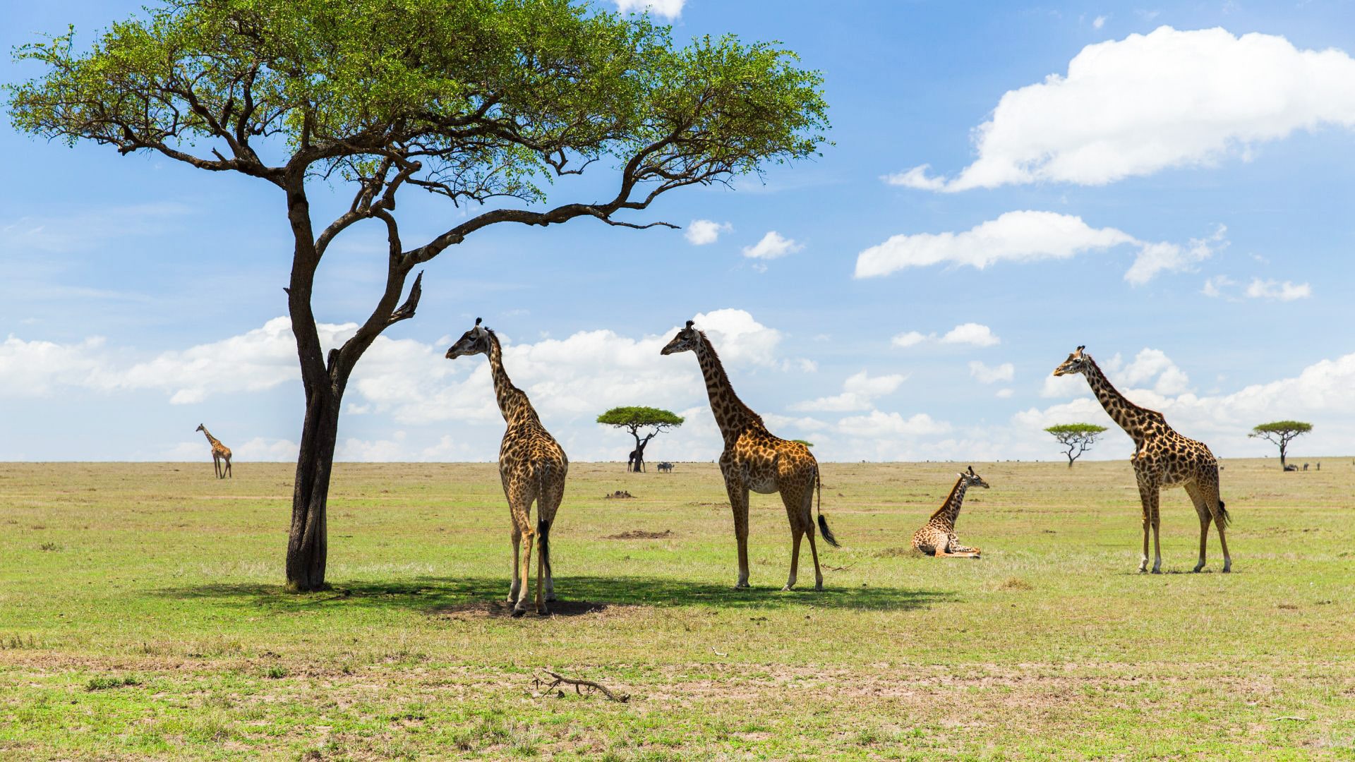 Kenya