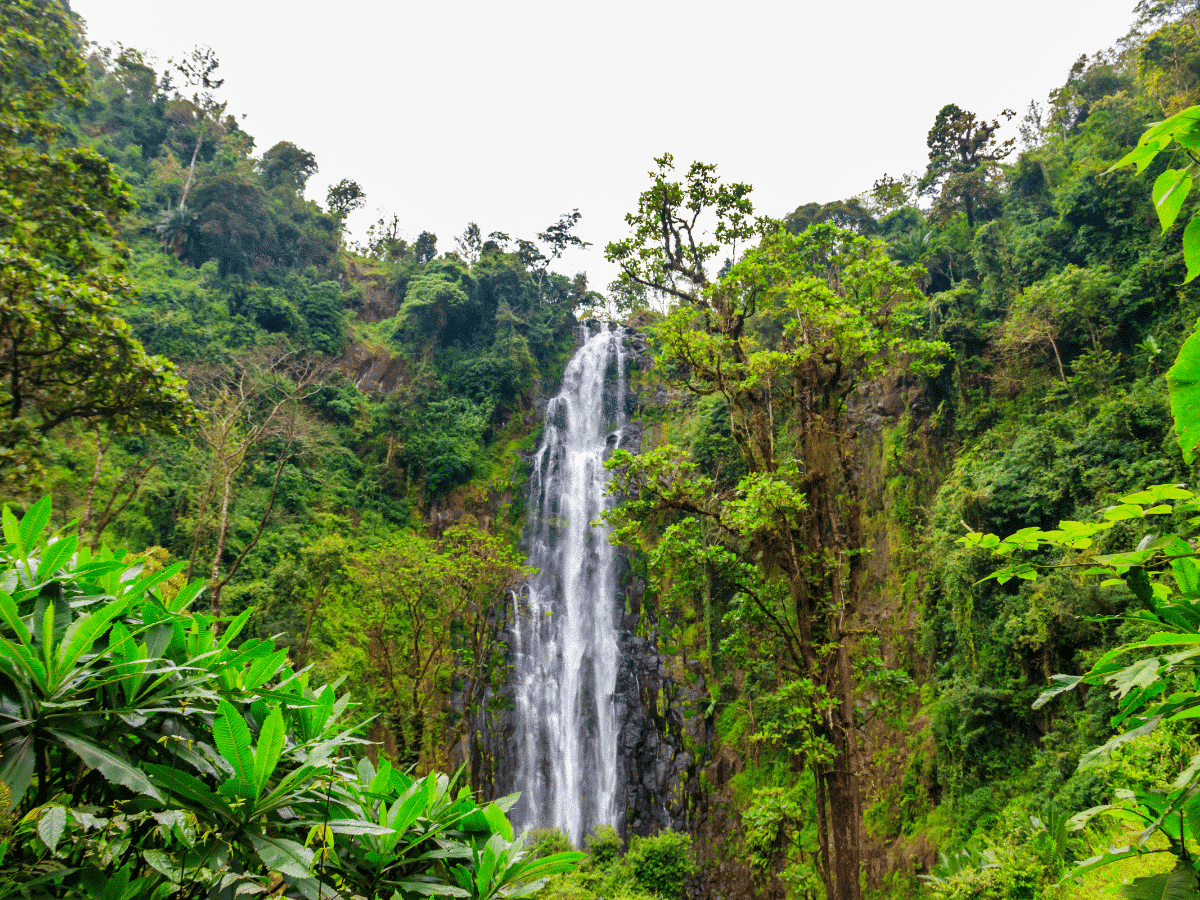 View of Materuni waterfall on the foot of the Kilimanjaro mountain in Tanzania