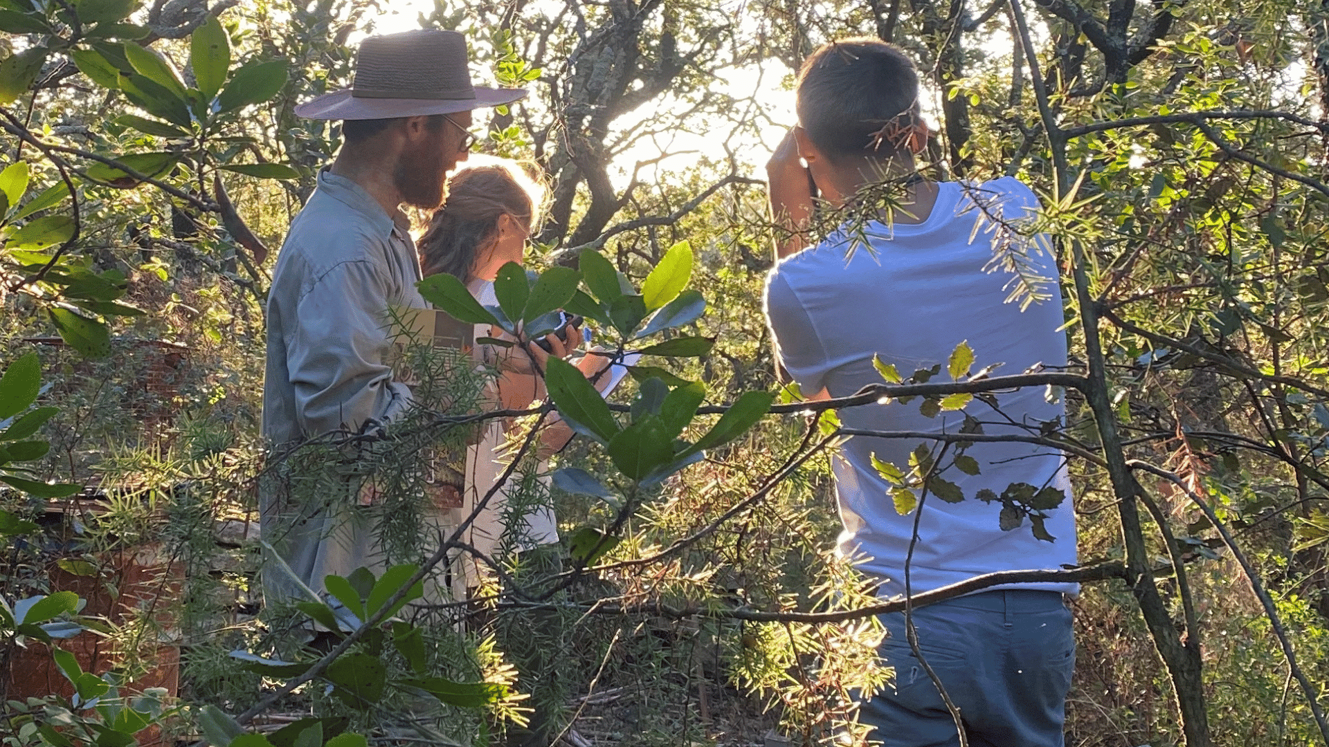 Set camera traps and conduct surveys to monitor the local wildlife