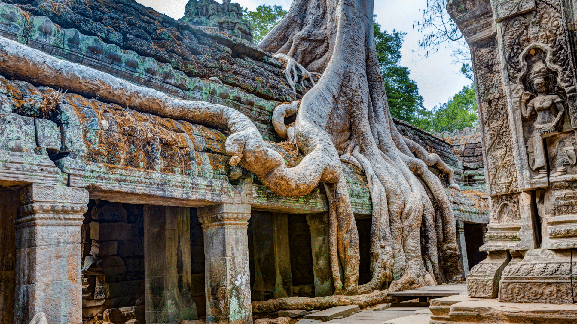 Angkor Wat Cambodia. Ta Prohm Khmer ancient Buddhist temple.