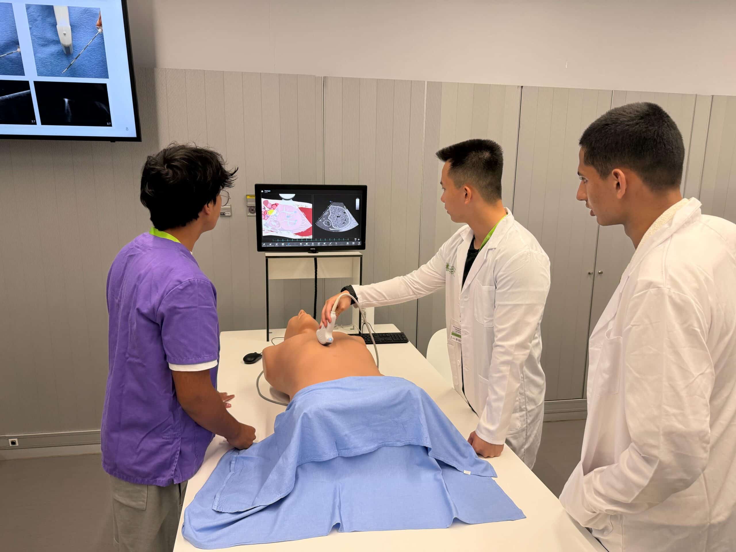 What is a virtual hospital and why is it perfect for medical internships?